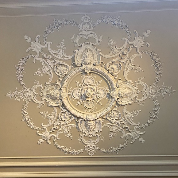 Meet your Posher, Grace - Picture 1 of 1